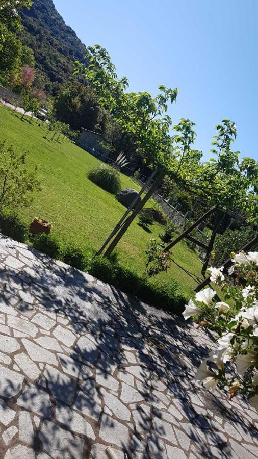 House With Big Garden And Barbeque In Nature Vourgareli Exterior photo