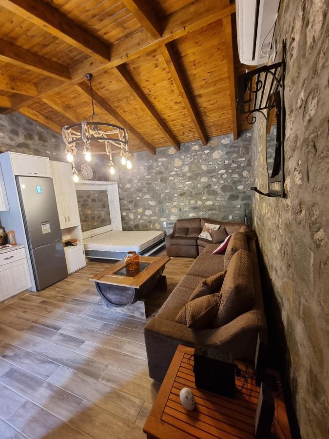 House With Big Garden And Barbeque In Nature Vourgareli Exterior photo