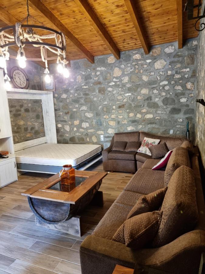 House With Big Garden And Barbeque In Nature Vourgareli Exterior photo