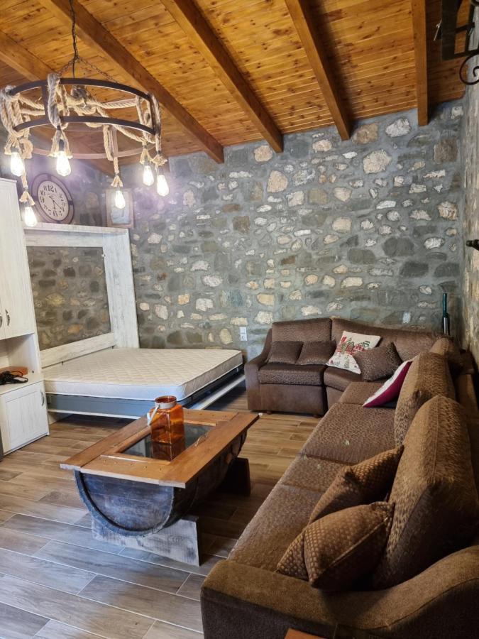 House With Big Garden And Barbeque In Nature Vourgareli Exterior photo